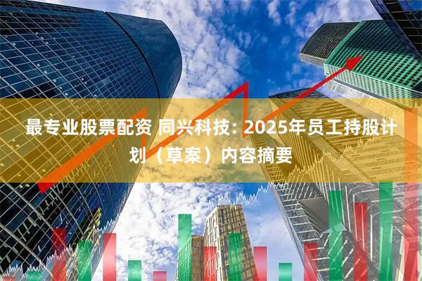 最专业股票配资 同兴科技: 2025年员工持股计划(草案)内容摘要