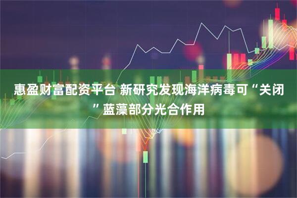 惠盈财富配资平台 新研究发现海洋病毒可“关闭”蓝藻部分光合作用