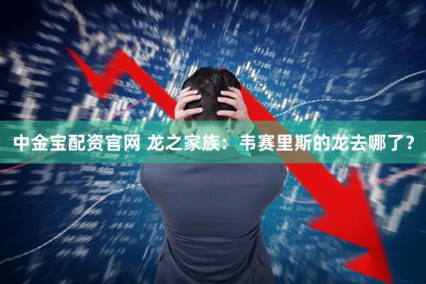 中金宝配资官网 龙之家族：韦赛里斯的龙去哪了？