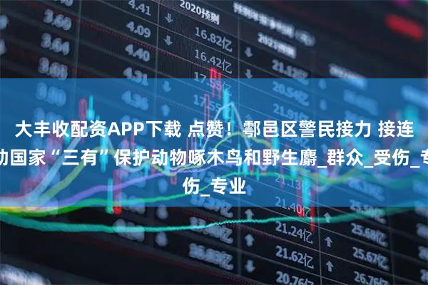 大丰收配资APP下载 点赞！鄠邑区警民接力 接连救助国家“三有”保护动物啄木鸟和野生麝_群众_受伤_专业