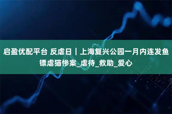 启盈优配平台 反虐日｜上海复兴公园一月内连发鱼镖虐猫惨案_虐待_救助_爱心