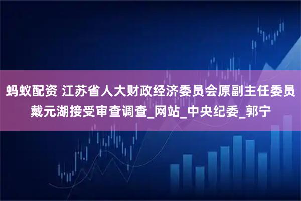 蚂蚁配资 江苏省人大财政经济委员会原副主任委员戴元湖接受审查调查_网站_中央纪委_郭宁