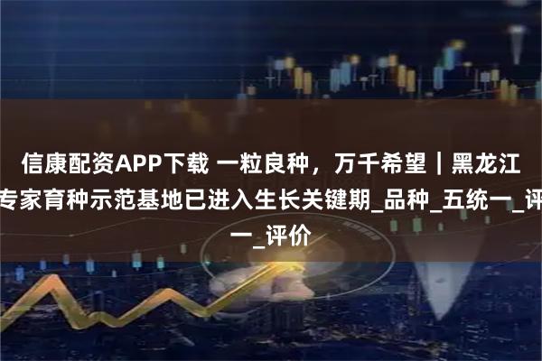 信康配资APP下载 一粒良种，万千希望｜黑龙江省专家育种示范基地已进入生长关键期_品种_五统一_评价