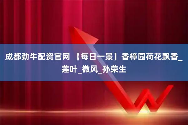 成都劲牛配资官网 【每日一景】香樟园荷花飘香_莲叶_微风_孙荣生